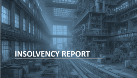Insolvency Report 12/2024