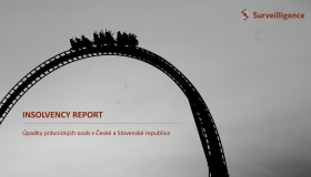 Insolvency Report 12/2023